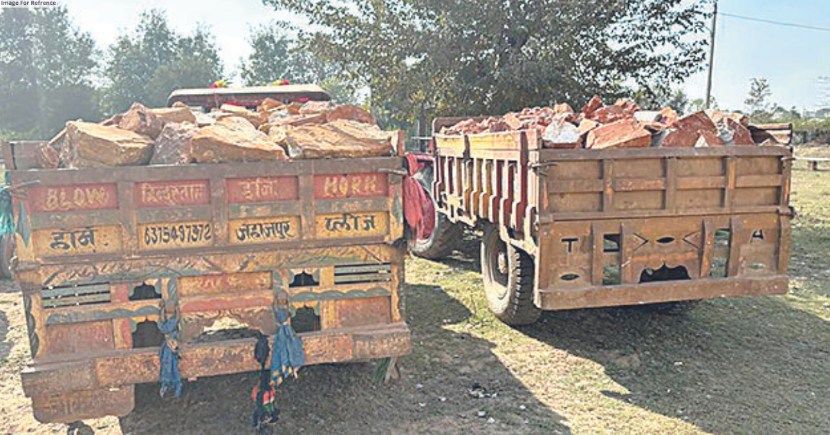 More than 100 vehicles, cache of minerals seized